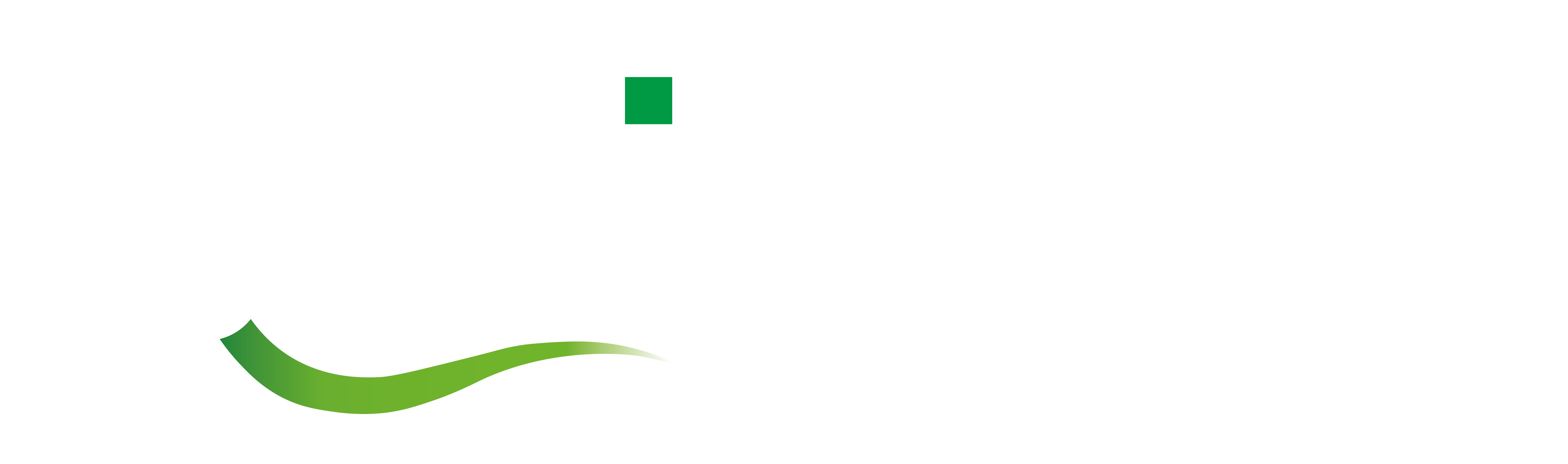 Borica
